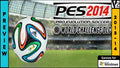 PES 2014 - Gudpley Patch Season 2013-14 + World Cup Challenge (PC)